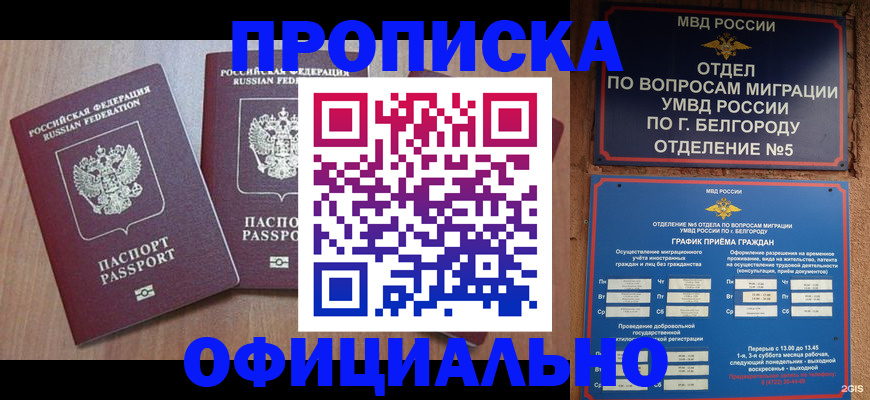 найти адрес прописки в Новокузнецке